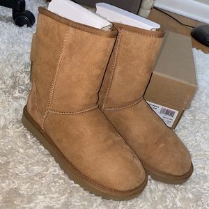 W Classic Short Chestnut